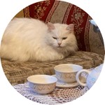 Лиза