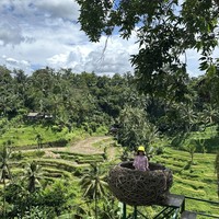 Фото отзыва 3: экскурсия "Магия Бали: священные места и природные чудеса"