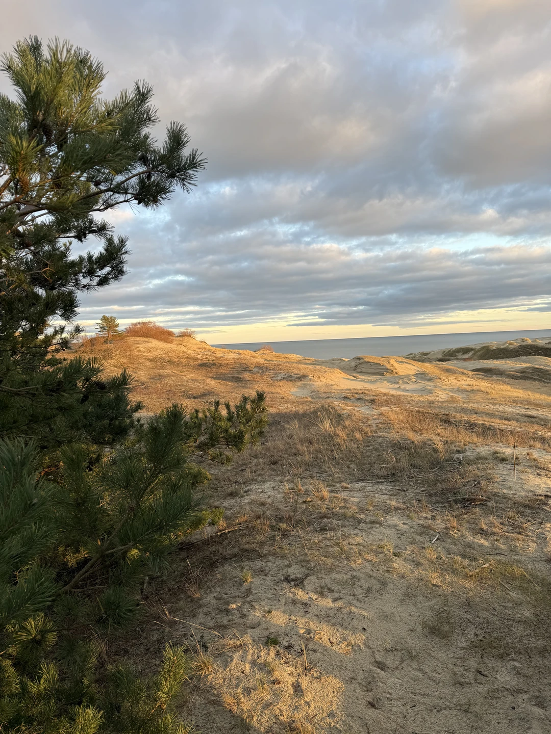 Замечательная экскурсия для тех, кто хочет все и сразу. За один день проехали все балтийское побережье