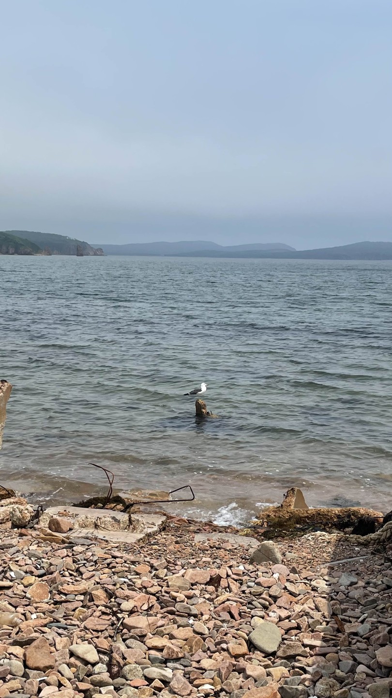 Релакс-путешествие по островам Японского моря - с гастрономической паузой (Татьяна)