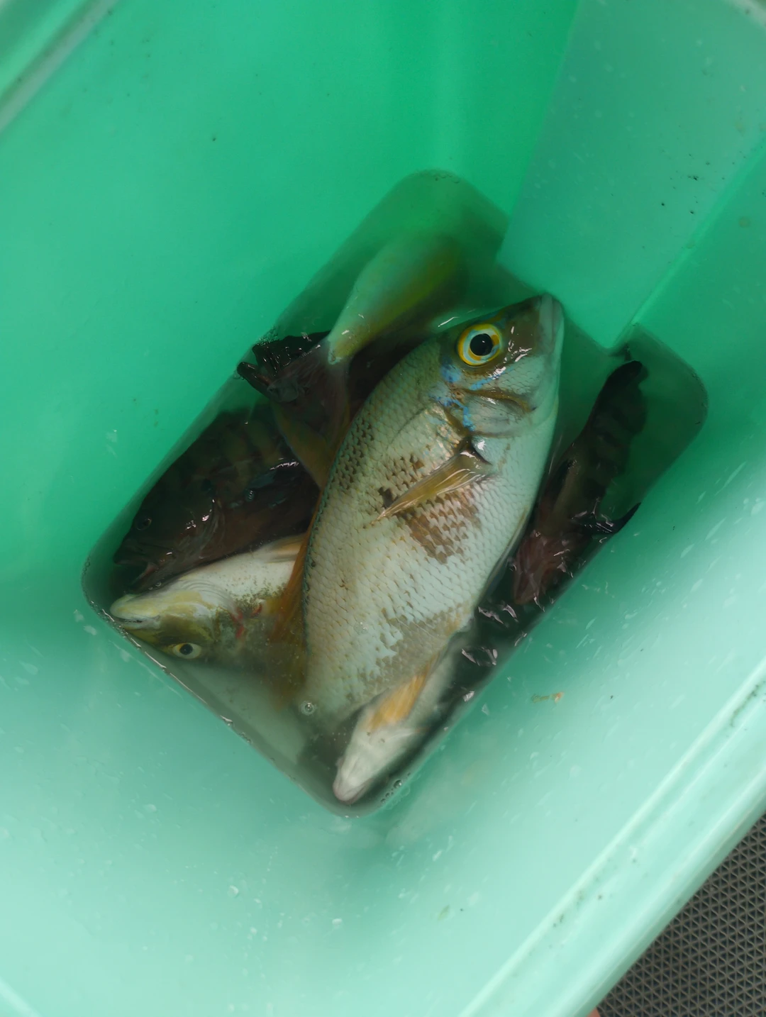 Замечательно организована прогулка! Гид Игорь отличный парень, очень внимательный и вежливый! Вся программа прошла четко, с