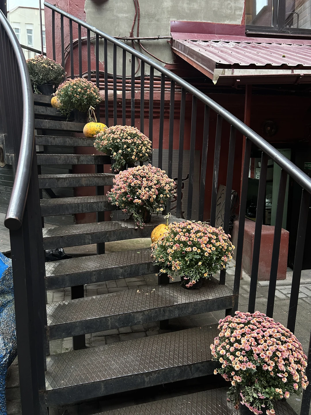 Свидание с Минском каждый день (Анастасия)