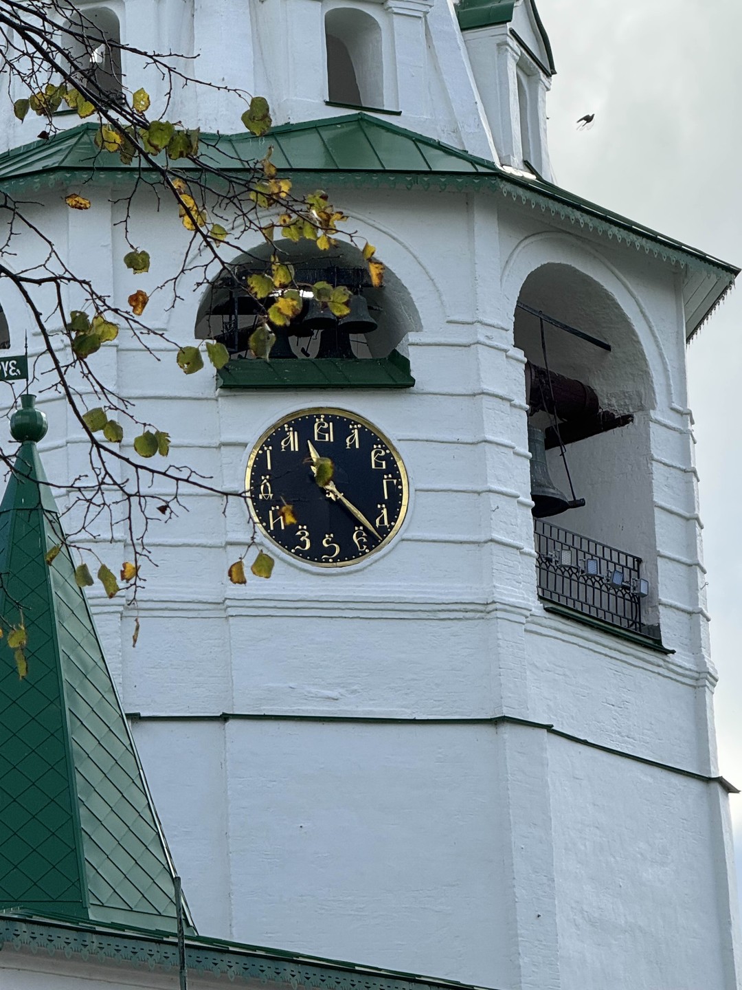 Историческая прогулка по граду Суздалю с элементами квеста (Ольга)