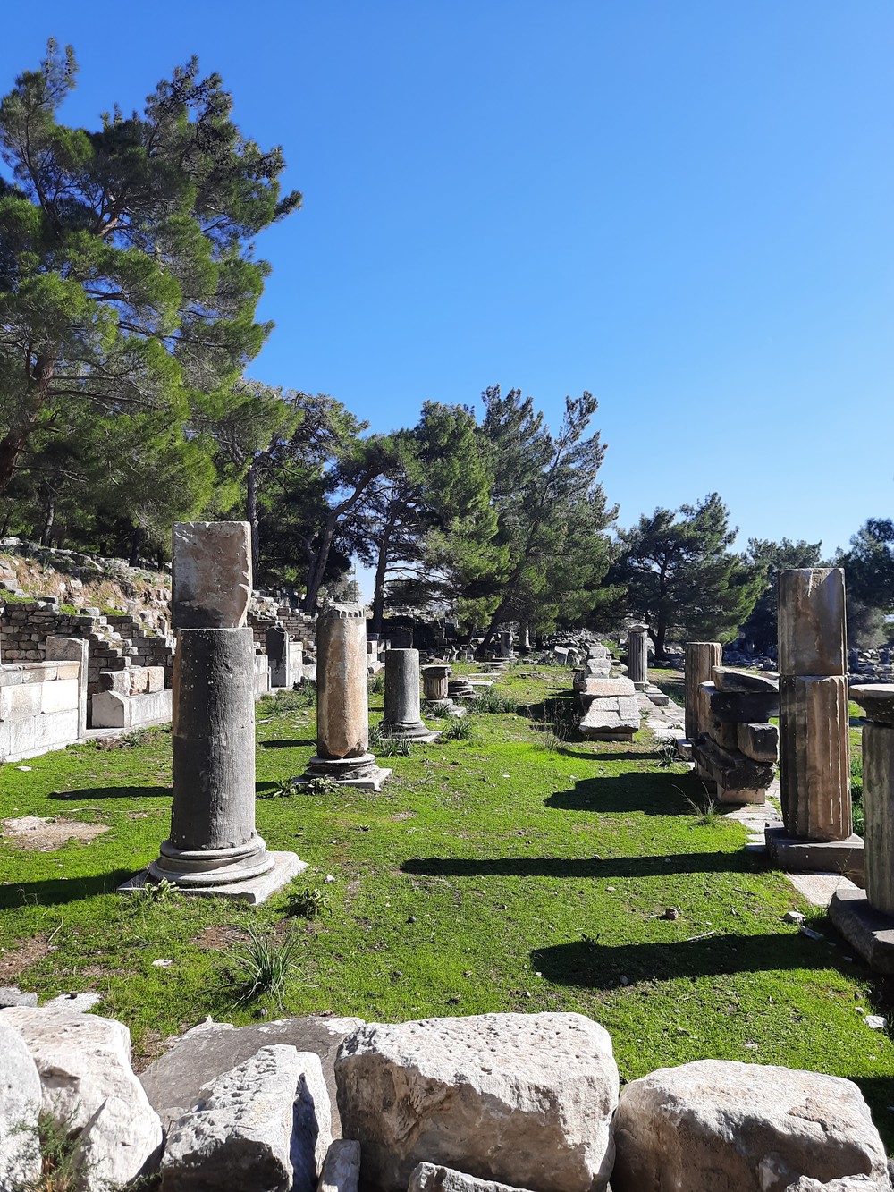 По следам древних греков: путешествие из Бодрума (6/11)