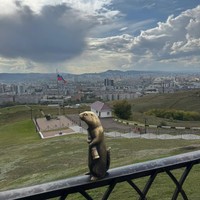reviews img