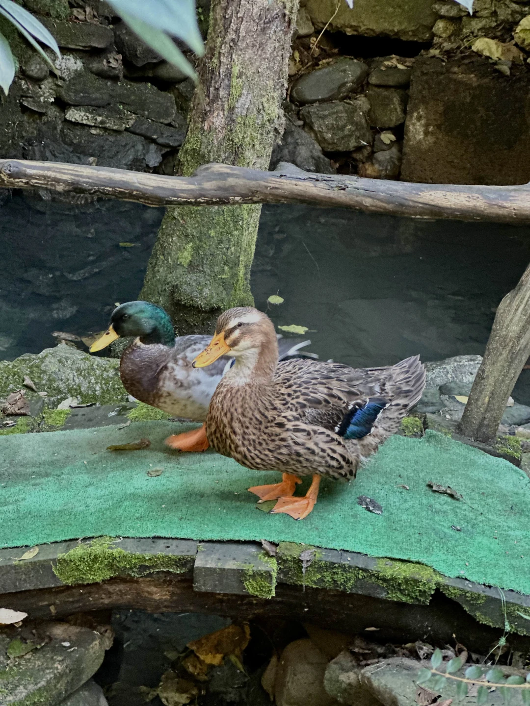 Это не просто экскурсия, скорее встреча старых друзей. Ведь именно так ощущается путешествие, которое ведет удивительный