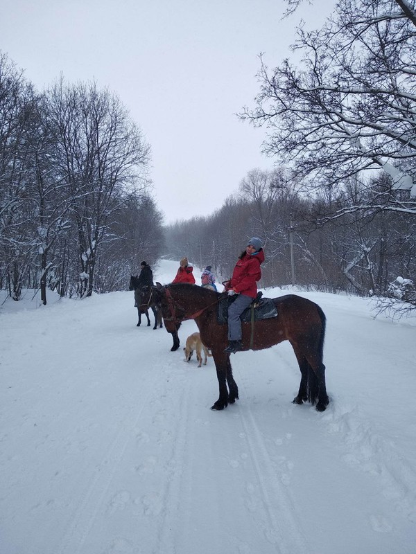 Конная прогулка в окрестностях Уфы