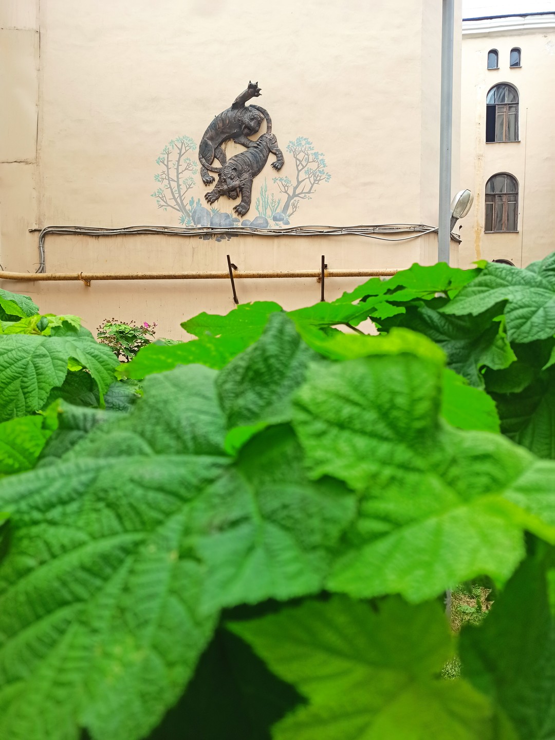 Примечательные дворы Петербурга - для детей и взрослых (Мария)