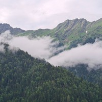 Фото отзыва 3: экскурсия "Звёзды Абхазии: дружеское путешествие"