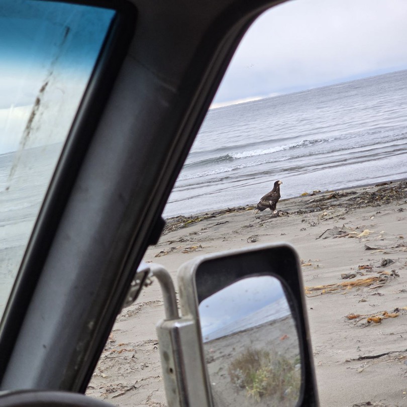 Это было очень длинное и увлекательное путешествие. Одна только дорога – настоящий аттракцион сродни американским горкам