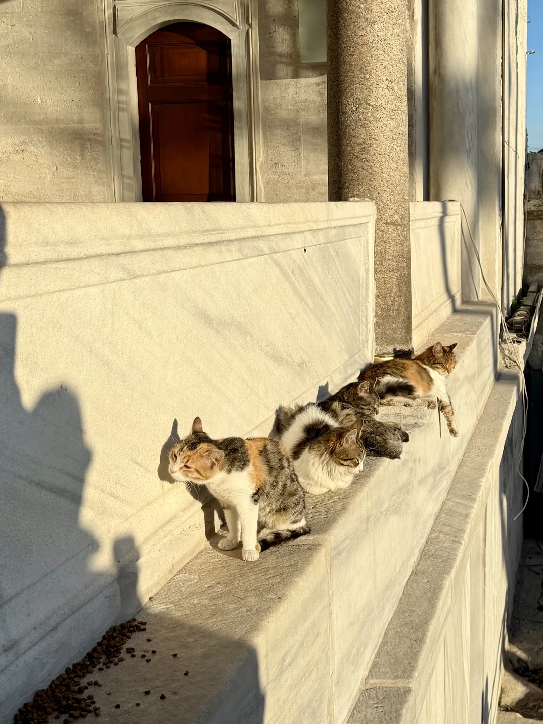 Экскурсия была увлекательной: с интересом прогулялись по главным достопримечательностям Стамбула. Рекомендую для первого знакомства с городом!
