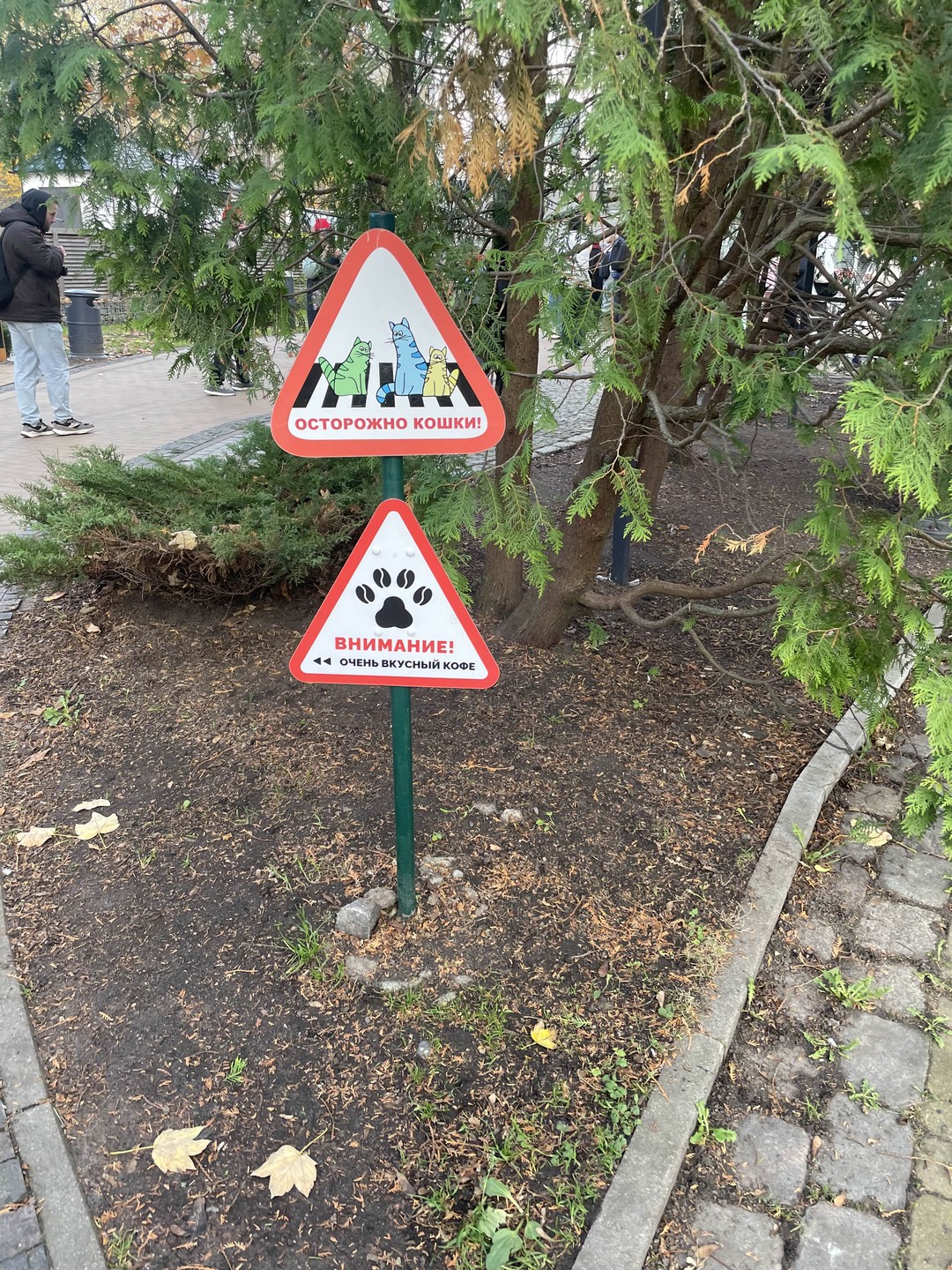 Спасибо Ирине за красочный рассказ) даже никто не перебивал)