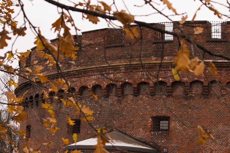 Калининград для всей семьи: игровая экскурсия (4+)