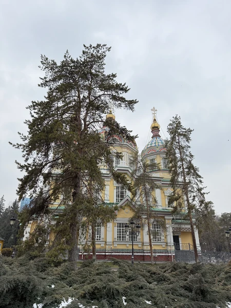 Большое спасибо Светлане. Экскурсия была интересная, отвечала на все интересующие вопросы. Что очень приятно, Светлана заботливо