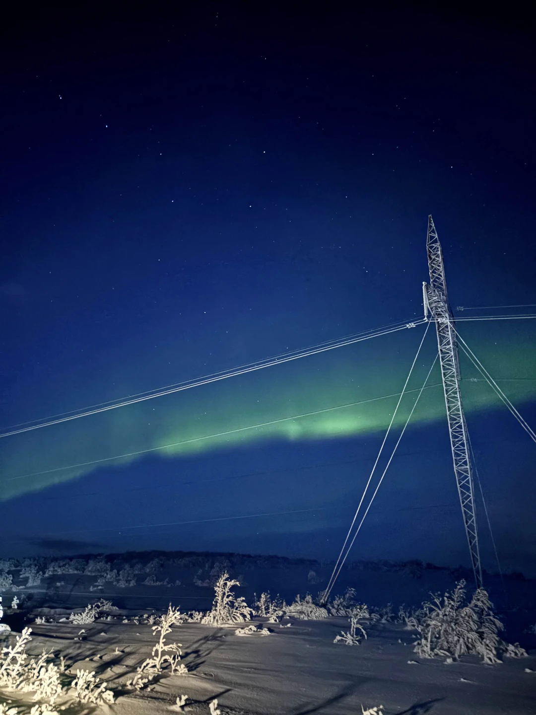 Были на экскурсии 25 ноября с гидом Александром, нам всё очень понравилось! Было оочень красиво, вкусно