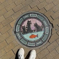Фото отзыва 3: экскурсия "Куршская коса — природная сказка Балтики + курортный Зеленоградск"