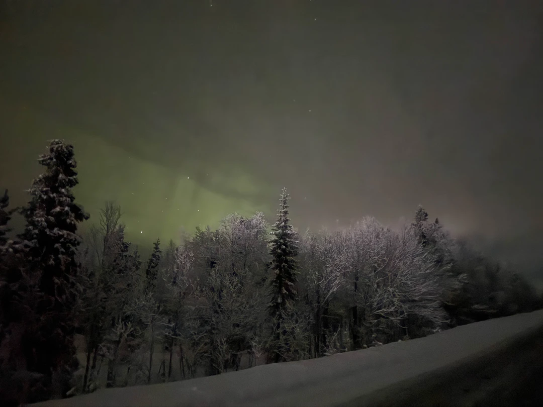 Северное сияние: увидеть главное чудо Заполярья (Алиса)