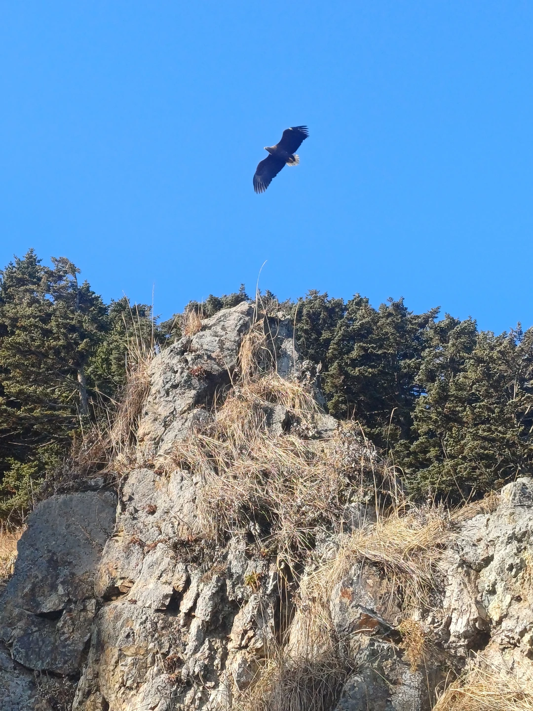 Потрясающая поездка! Удивительной красоты природа, которая прекрасна в любое время года (и не только мыс, но
