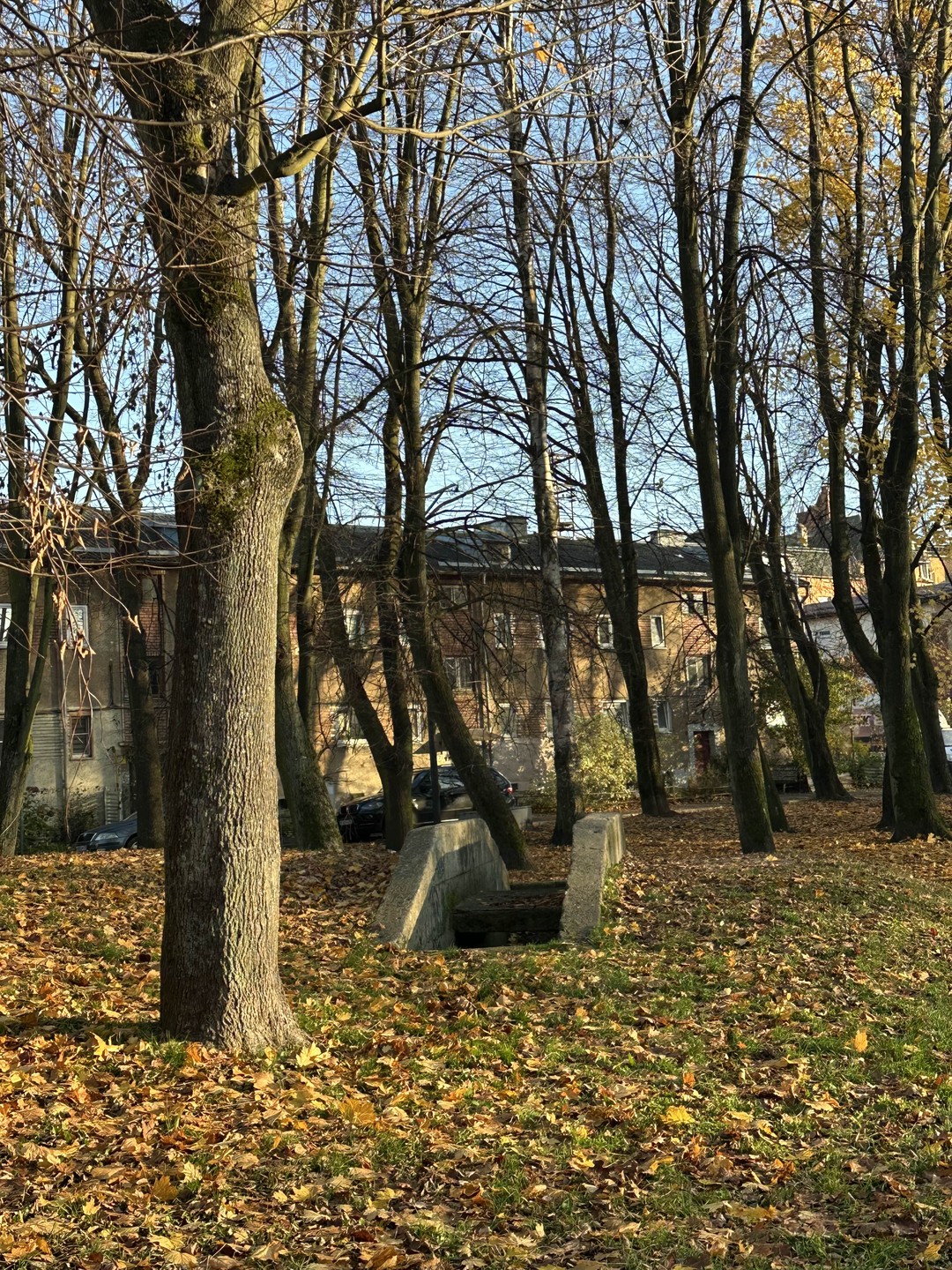 Хотелось посмотреть на Калининград нетипичный и нетуристический. Выбрали экскурсию в Балтрайон и это была заключительная яркая