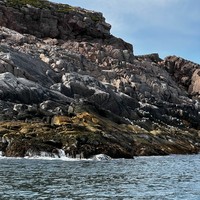 Фото отзыва 1: экскурсия "С капитаном за китами! Морская прогулка в Териберке"