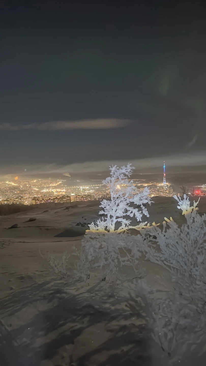 Мы попали в сказку. Нетронутый снег, темнота, снежные деревья и мы на снегоступах. Это была незабываемая