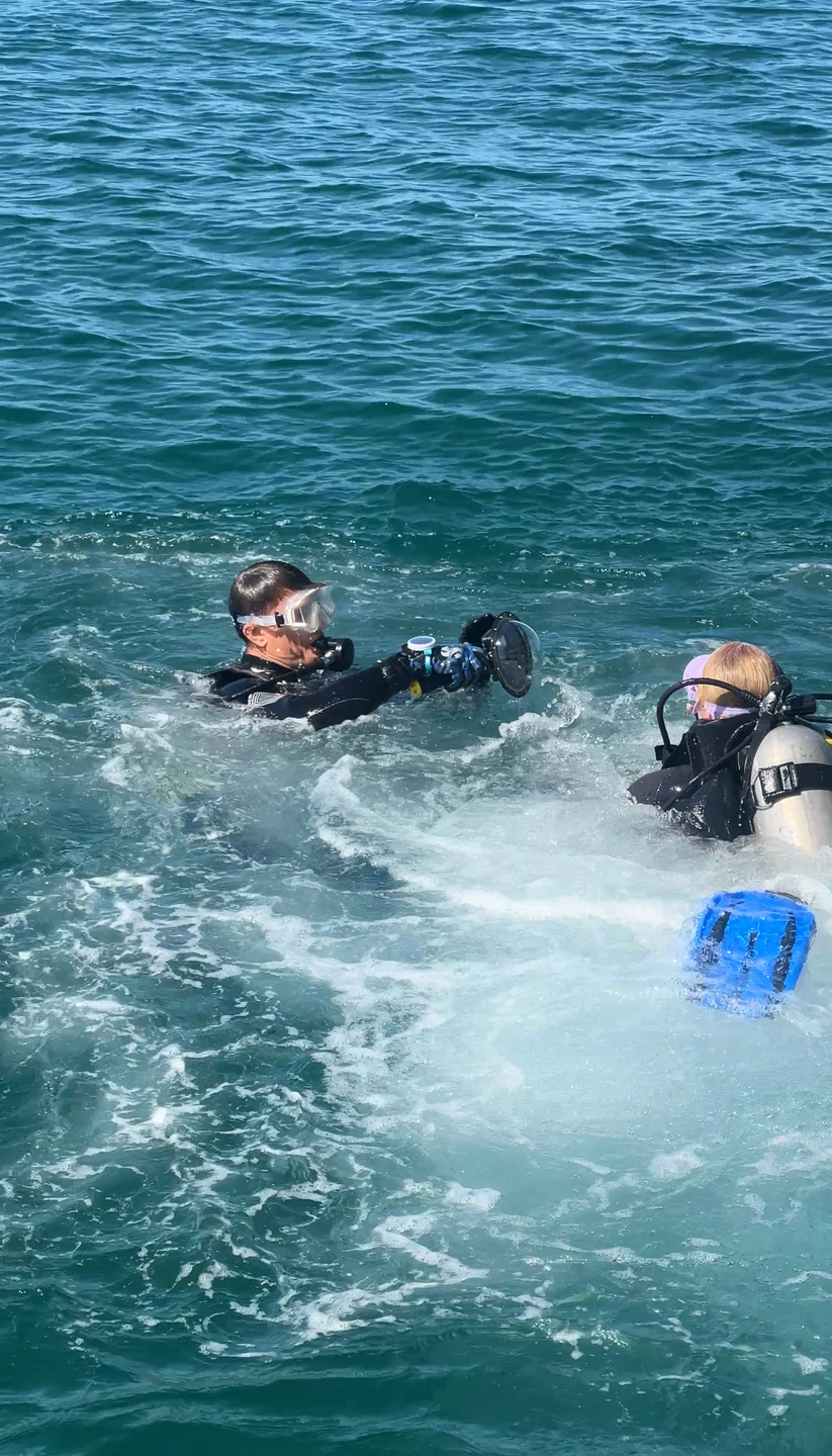 Алексей зе бест! Очень внимательное отношение к каждому погружающемуся, подробный инструктаж, спокойная и дружелюбная атмосфера. Есть