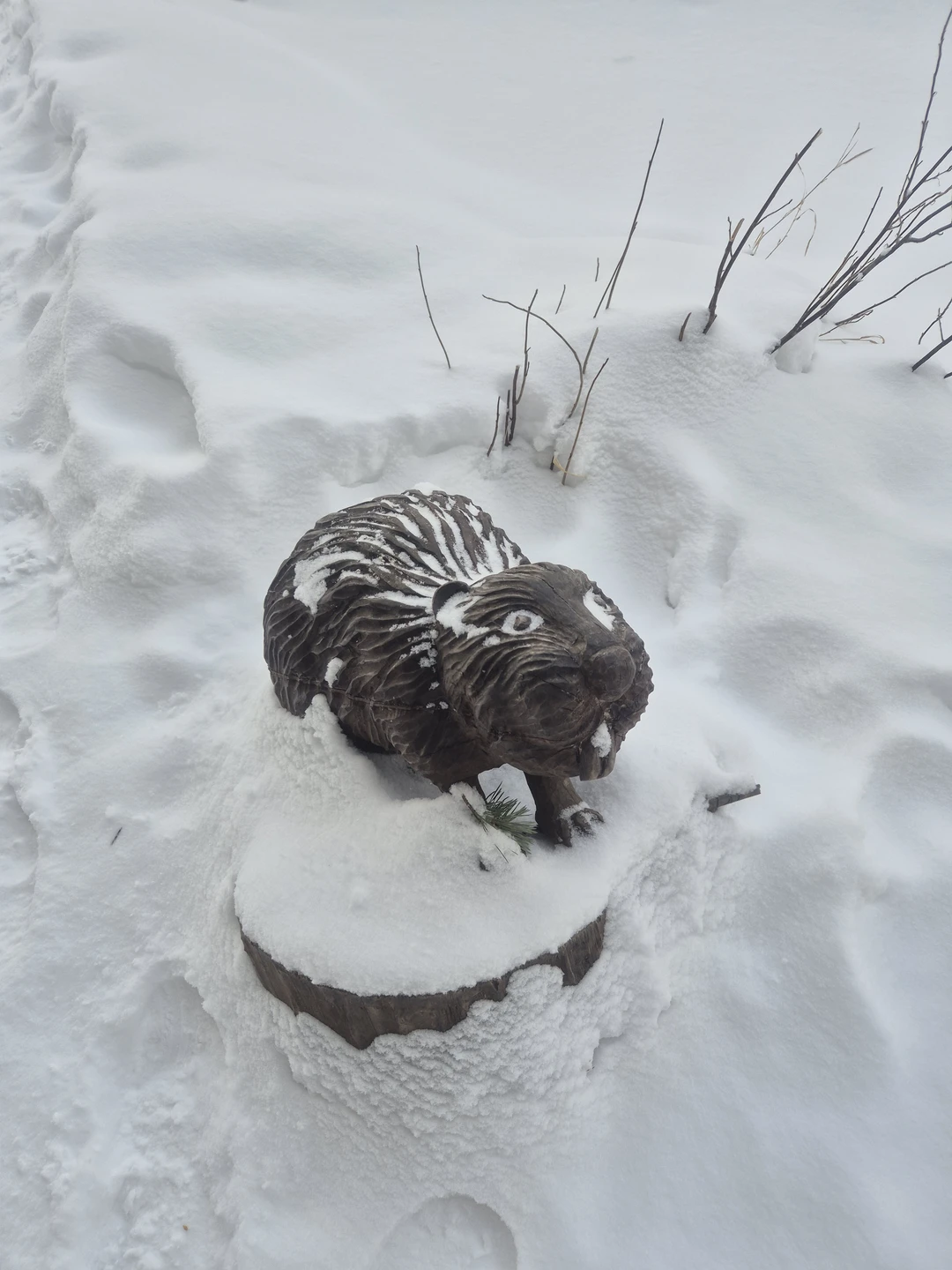 Локация Уральский Марс зимой из-за снега не так виден, поэтому мы поехали в Сысеть, посетили природный