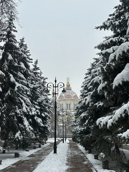 С нами был гид Виталий. Экскурсия прошли потрясающе. Виталий очень погружен в жизнь и историю города