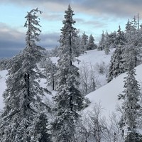 Фото отзыва 1: экскурсия "Фотоэкспедиция «Сказка Южного Заполярья»"