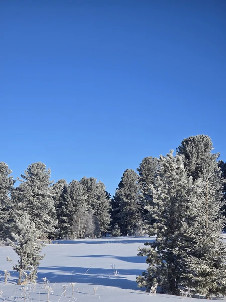 Выражаю огромную благодарность гиду организатору Николаю за увлекательную, позновательную экскурсию по Чуйскому тракту. Рекомендую всем не