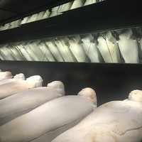 Фото отзыва 1: экскурсия "Бейрут, Библос и пещеры Джейта за 1 день!"