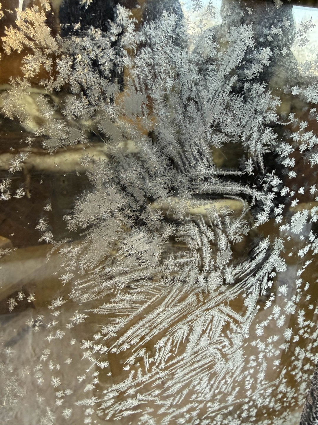 Провели с Алиной замечательный день 4 января. Я была с подругой и сыном. Заранее обсудили наши