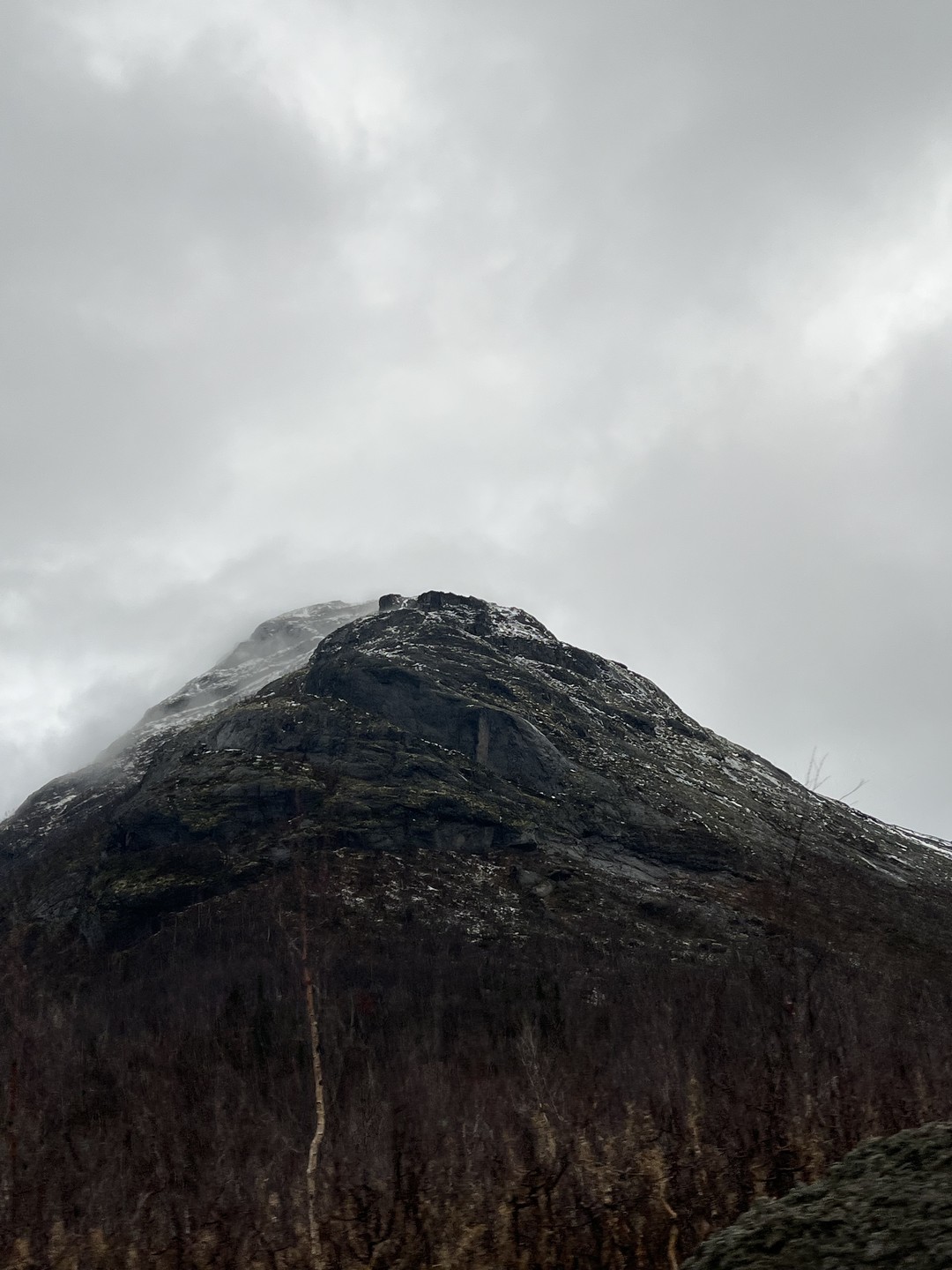 Невероятная экскурсия!