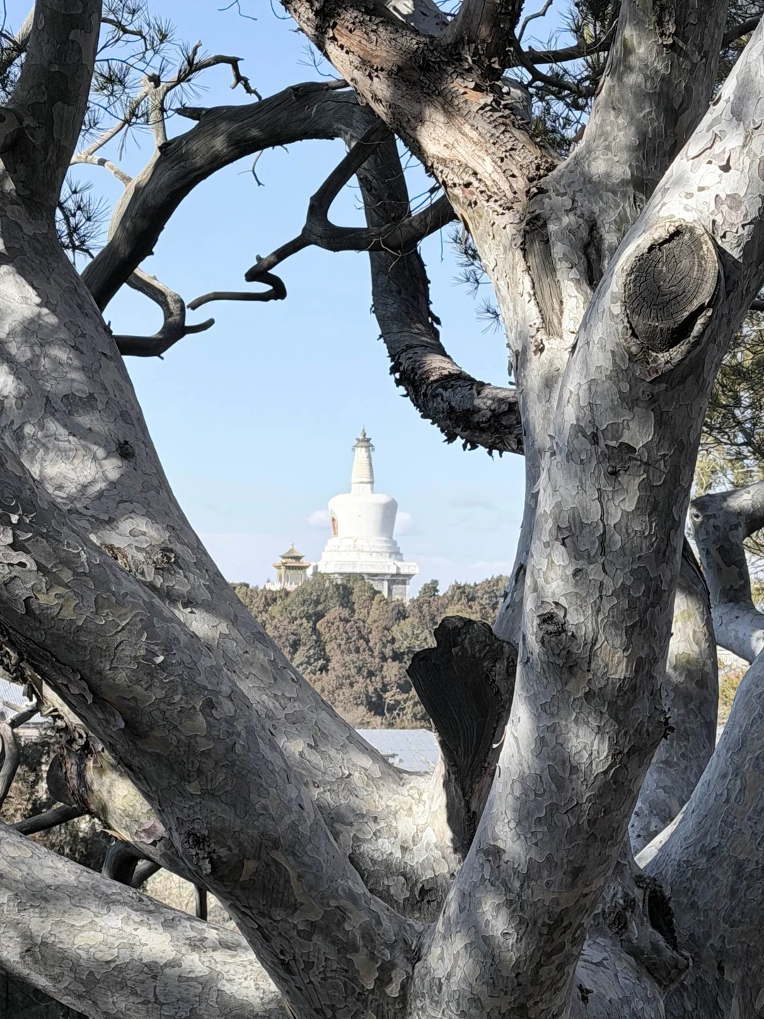 Были на экскурсии по Пекину. Прекрасный экскурсовод Катюша все нам показала и учла все наши пожелания. Было очень интересно. Спасибо огромное.