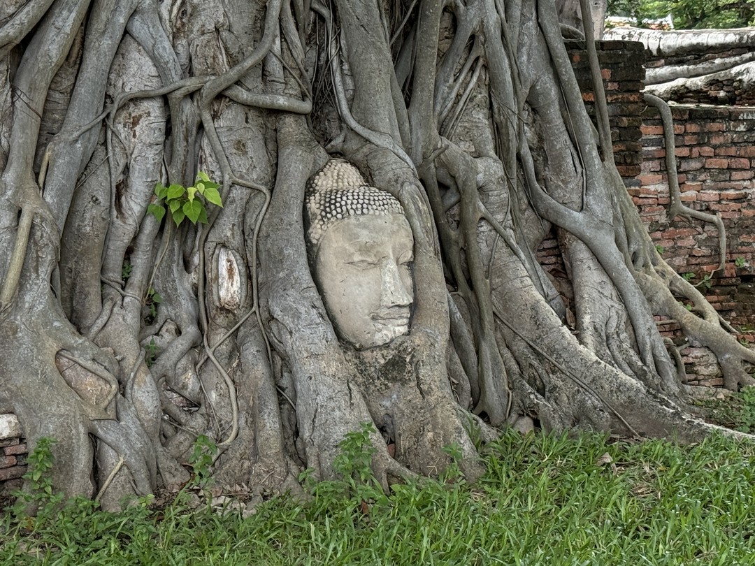 Из Бангкока в Аюттайю - древнюю столицу Сиама (Оксана)