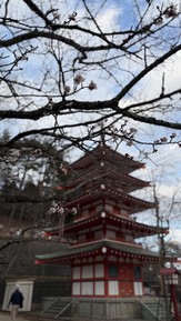 Фото отзыва 3: экскурсия "Вокруг Фудзи: где оживает история"