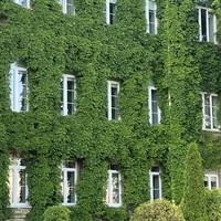 Фото отзыва 3: экскурсия "Летописный Гродно"
