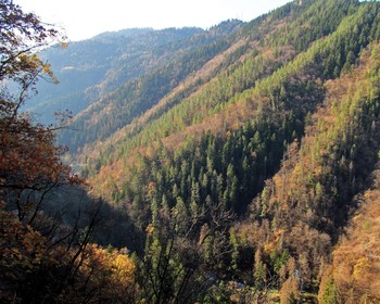 Боржоми, термальные бассейны, переезд в Батуми