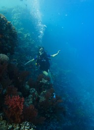 Фото отзыва 1: экскурсия "По&nbsp;Красному морю&nbsp;— на&nbsp;дайверской яхте"