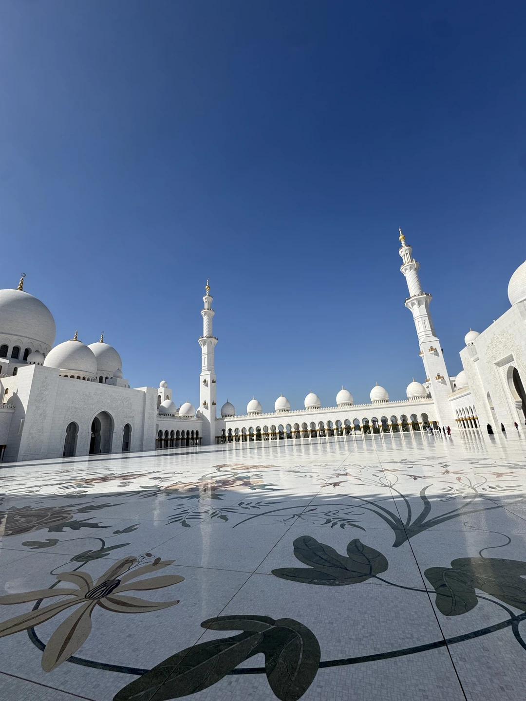 Абу-Даби за один день- отличный вариант. Экскурсия была насыщенной и интересной. Замечательный гид Али! Комфортный автомобиль. Спасибо!