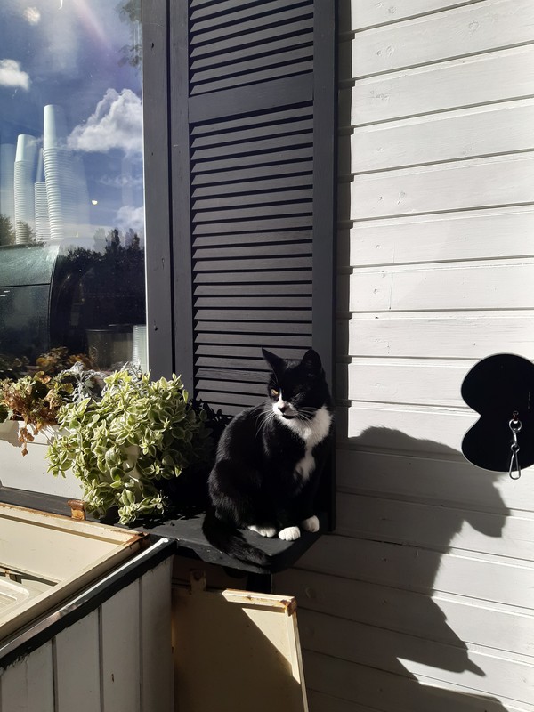 Балтийск, Янтарный, Светлогорск - три облика Балтики