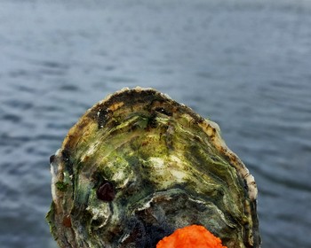 Лагуна Буссе