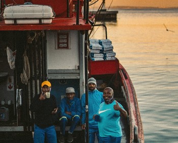 Много океана, морских котиков, пингвинов и вина