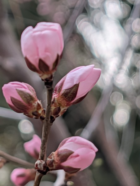 Если вам посчастливится гулять по Пекину с гидом Евгением — считайте, что вы выиграли туристическую лотерею