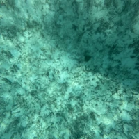 Фото отзыва 2: экскурсия "Яркие эмоции и безмятежность: мальдивские каникулы с активностями и релаксом"