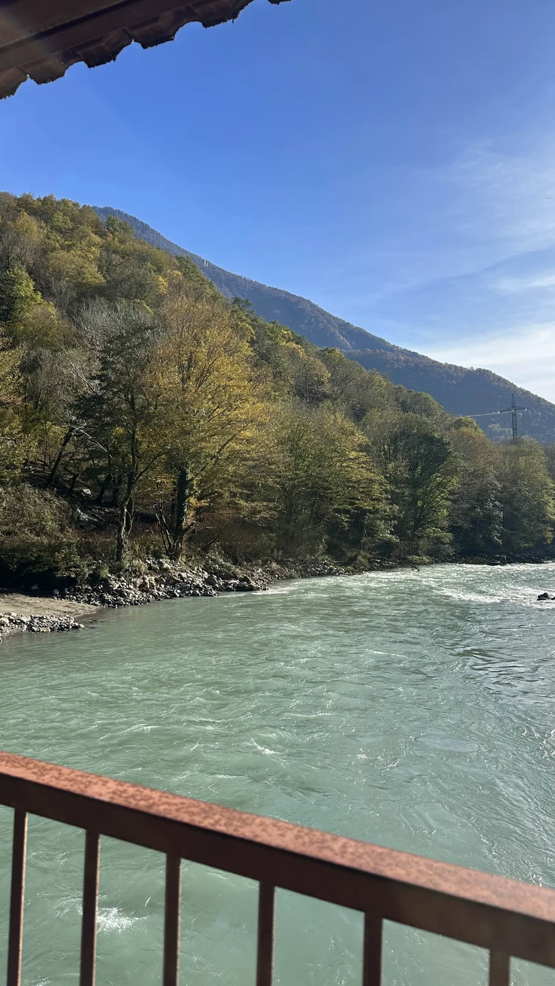 Индивидуальная экскурсия по солнечной Абхазии (Вероника)