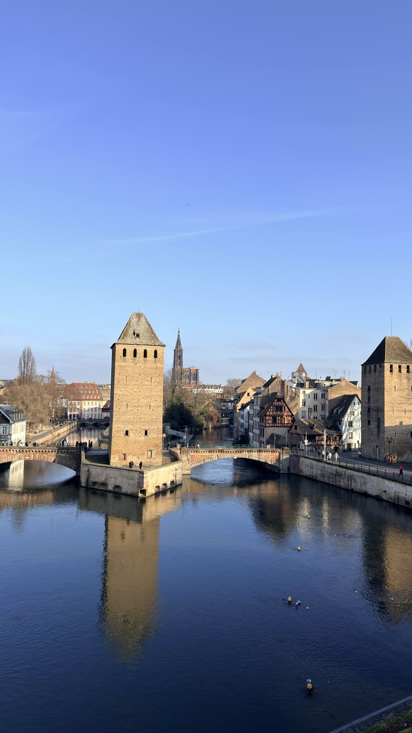 Очаровательный Страсбург в сопровождении очаровательной Марины раскрыл все свои тайны и сокровища. Легко и незаметно пролетели