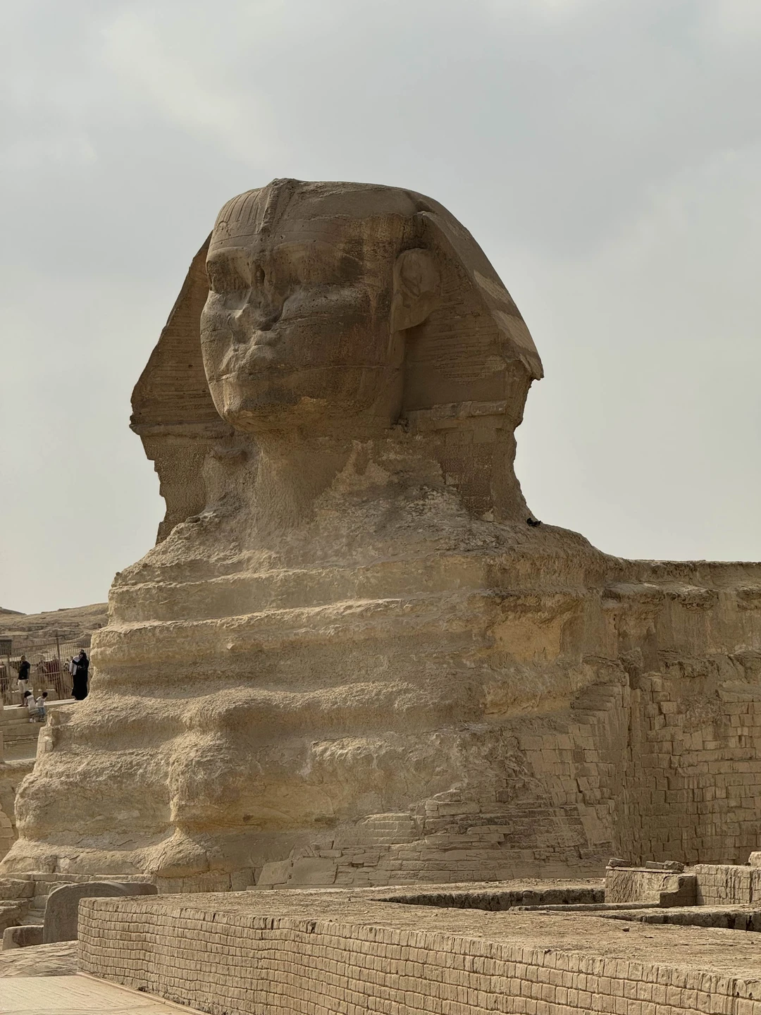 Наше путешествие скрасила данная экскурсия и внимательность Валида. У нас был в подарок индивидуальный трансфер по приезде в Египет