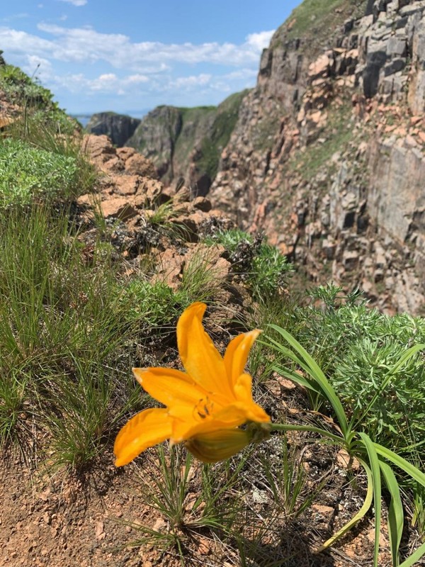 Виды Русский и Шкота: индивидуальное путешествие на авто и пешком по двум островам