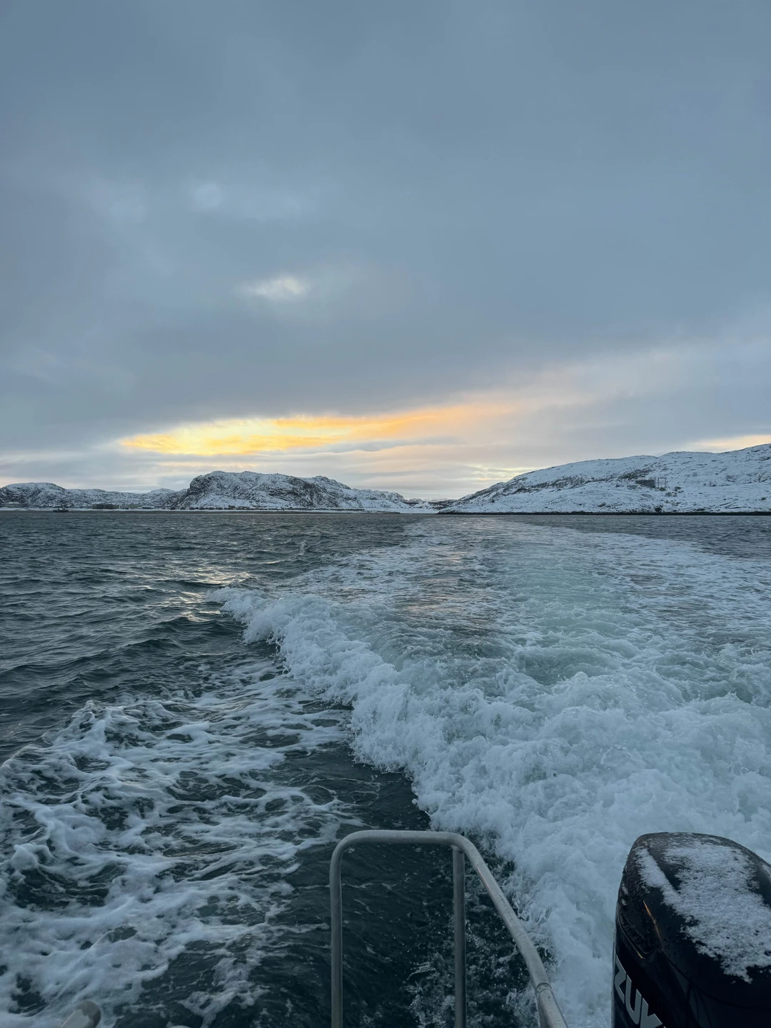 Спасибо большое капитану Кириллу! Хороший катер, теплая каюта. Китов не увидели, зато увидели тюленя и морских свинок))